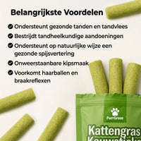 PurrGraze Kattengras Kauwsticks